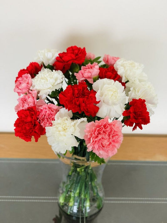 Charming Carnations Next Day