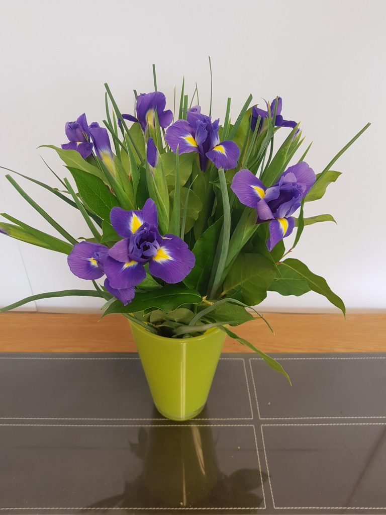 Simply Iris Next Day