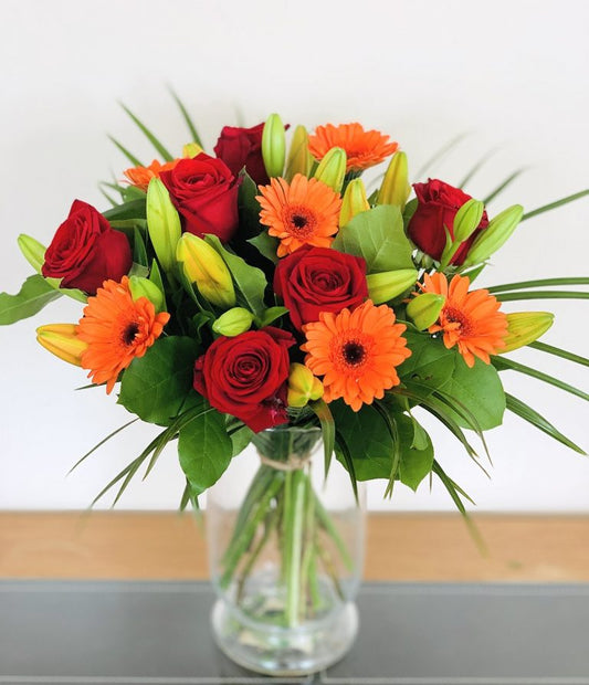 Starburst – Same Day