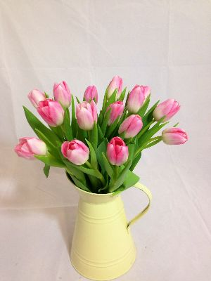 Spring Tulips Next Day